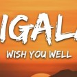 Sigala, Becky Hill - Wish You Well (Lyrics)