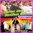 Pairon Mein Bandhan Hai  Cover  Mohabbatein  Anurati Roy  Shah Rukh Kh 128 kbps