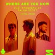 Lost Frequencies ft Calum Scott - Where Are You Now