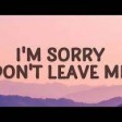 Sad Songs Playlist (Lyrics Video) I'm sorry, don't leave me 128 kbps