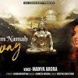 Om Namah Shivay - Maanya Arora
