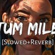Tum Mile [Slowed+Reverb] - Neeraj Shridhar Textaudio Lyrics