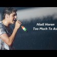 Niall Horan - Too Much To Ask (Official)