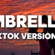 Umbrella - Ember Island (TikTok Version) when the sun shines we'll shine together