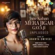 Jane Kahan Mera Jigar Gaya Ji  Unplugged