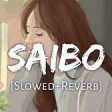 Saibo [Slowed+Reverb]- Shor In The City Textaudio Lyrics