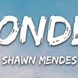 Shawn Mendes - Wonder